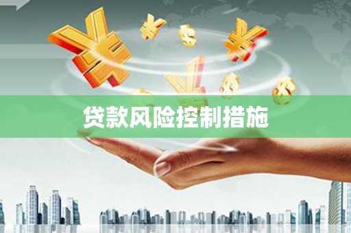 红岗贷款风险控制措施