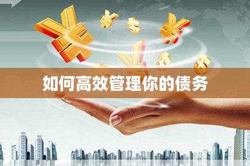 红岗如何高效管理你的债务