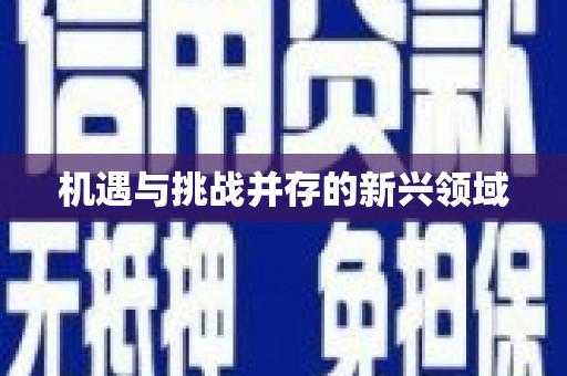红岗机遇与挑战并存的新兴领域