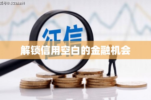 红岗解锁信用空白的金融机会