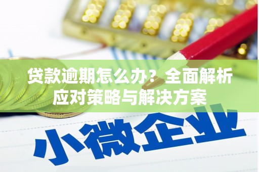 红岗贷款逾期怎么办？全面解析应对策略与解决方案
