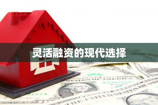 红岗灵活融资的现代选择