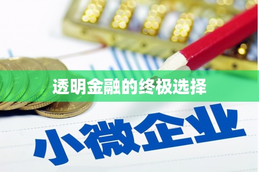 红岗透明金融的终极选择