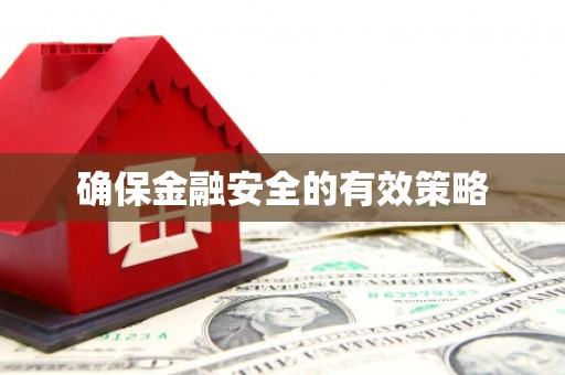 红岗确保金融安全的有效策略