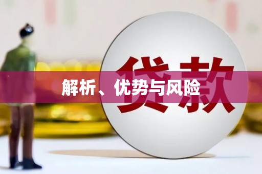 红岗解析、优势与风险