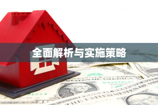 红岗全面解析与实施策略
