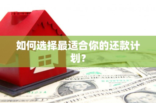 红岗如何选择最适合你的还款计划？